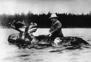 Teddy Roosevelt riding a moose